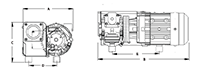 9.5 Inch (in) Dimension A Oil Lubricated Rotary Vane Vacuum Pump (RXA-21) - 2